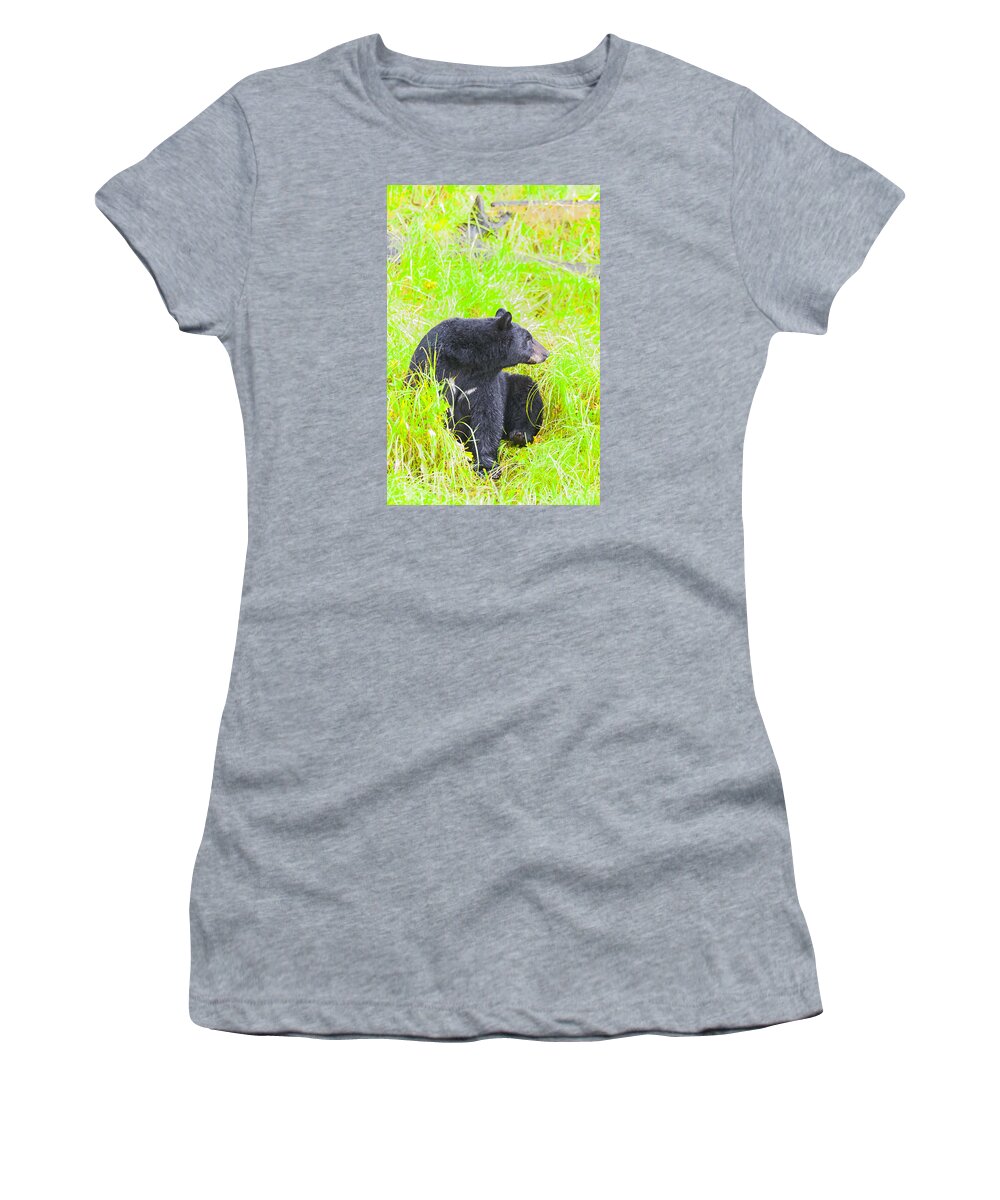 Wildlife. Black Bear Women's T-Shirt featuring the photograph Who's There by Harold Piskiel