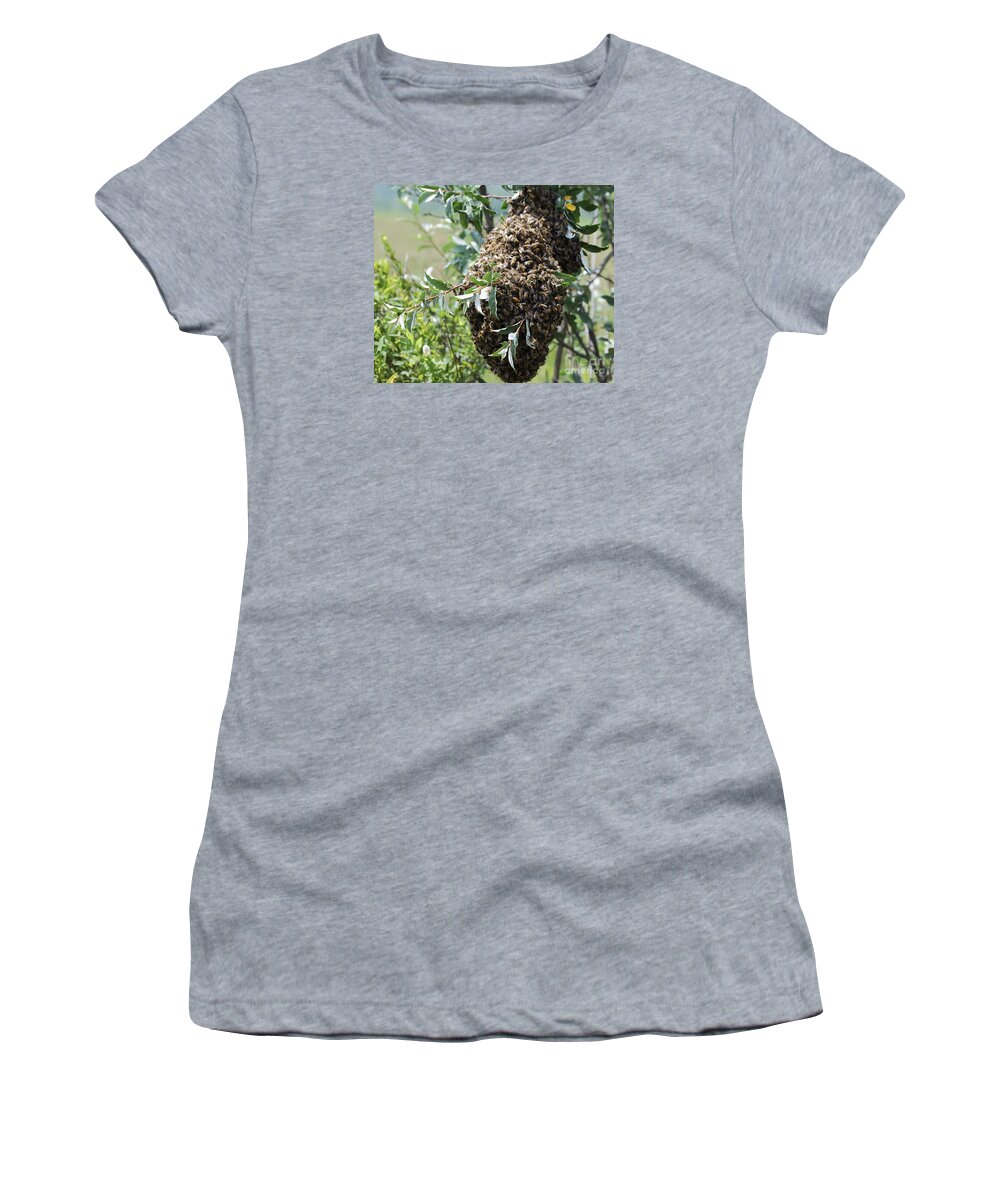 High Virginia Images Women's T-Shirt featuring the photograph Wild Honey Bees by Randy Bodkins