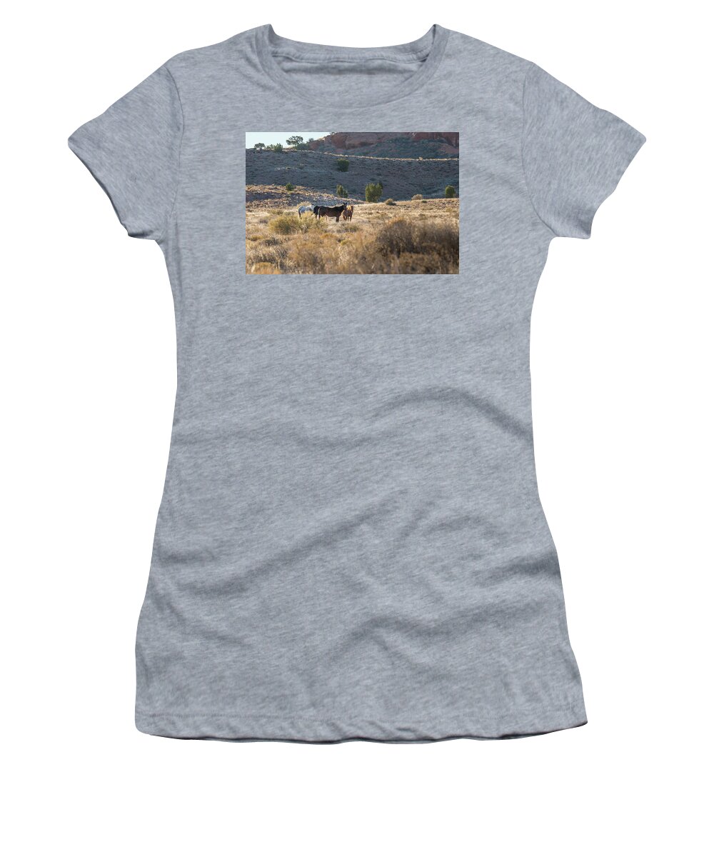Arizona Women's T-Shirt featuring the photograph Wild Horses in Monument Valley by Jon Glaser