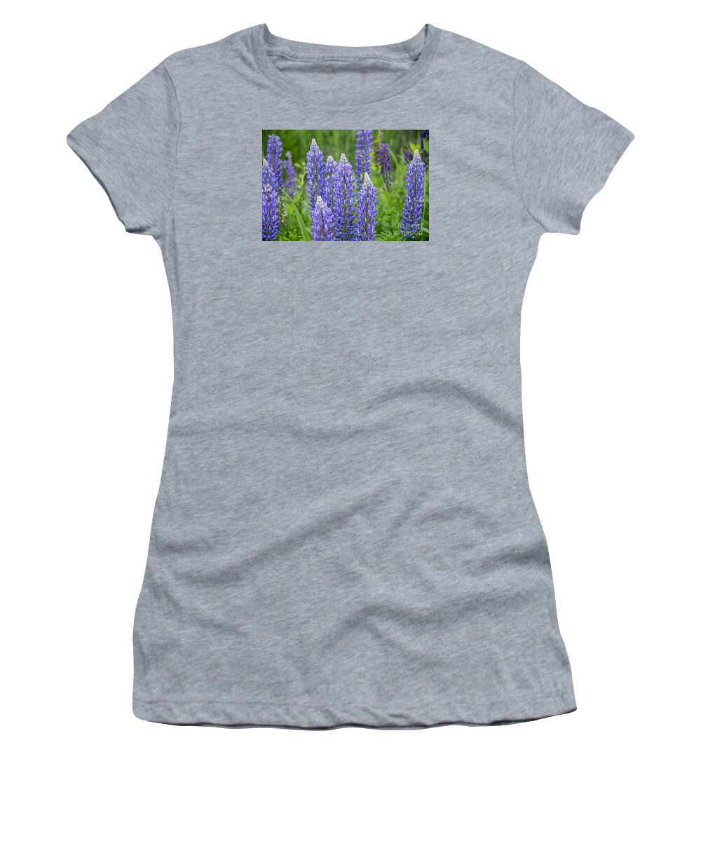 Lupine Women's T-Shirt featuring the photograph Wild Lupine by Alana Ranney