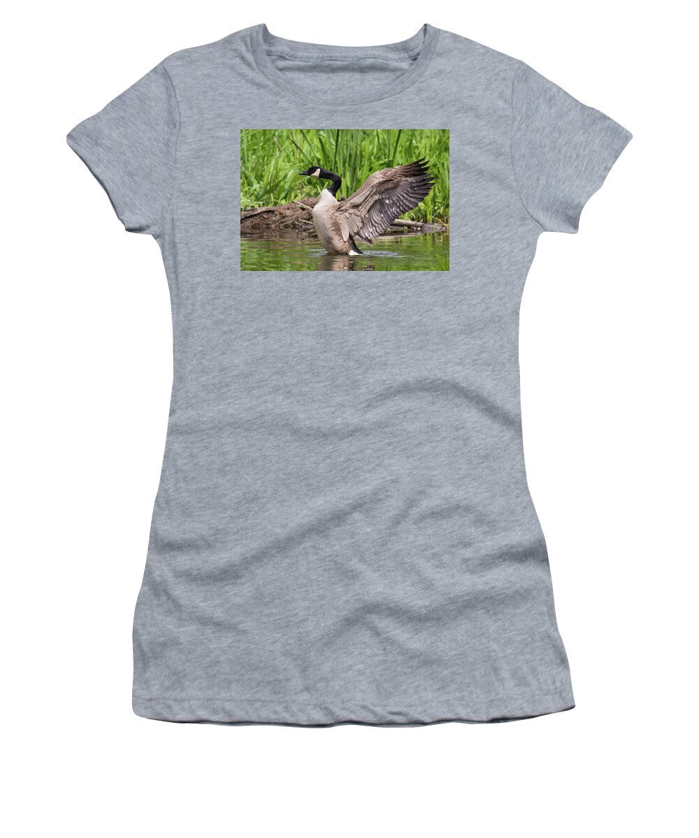 Bird Women's T-Shirt featuring the photograph Wild Wings by Jody Partin