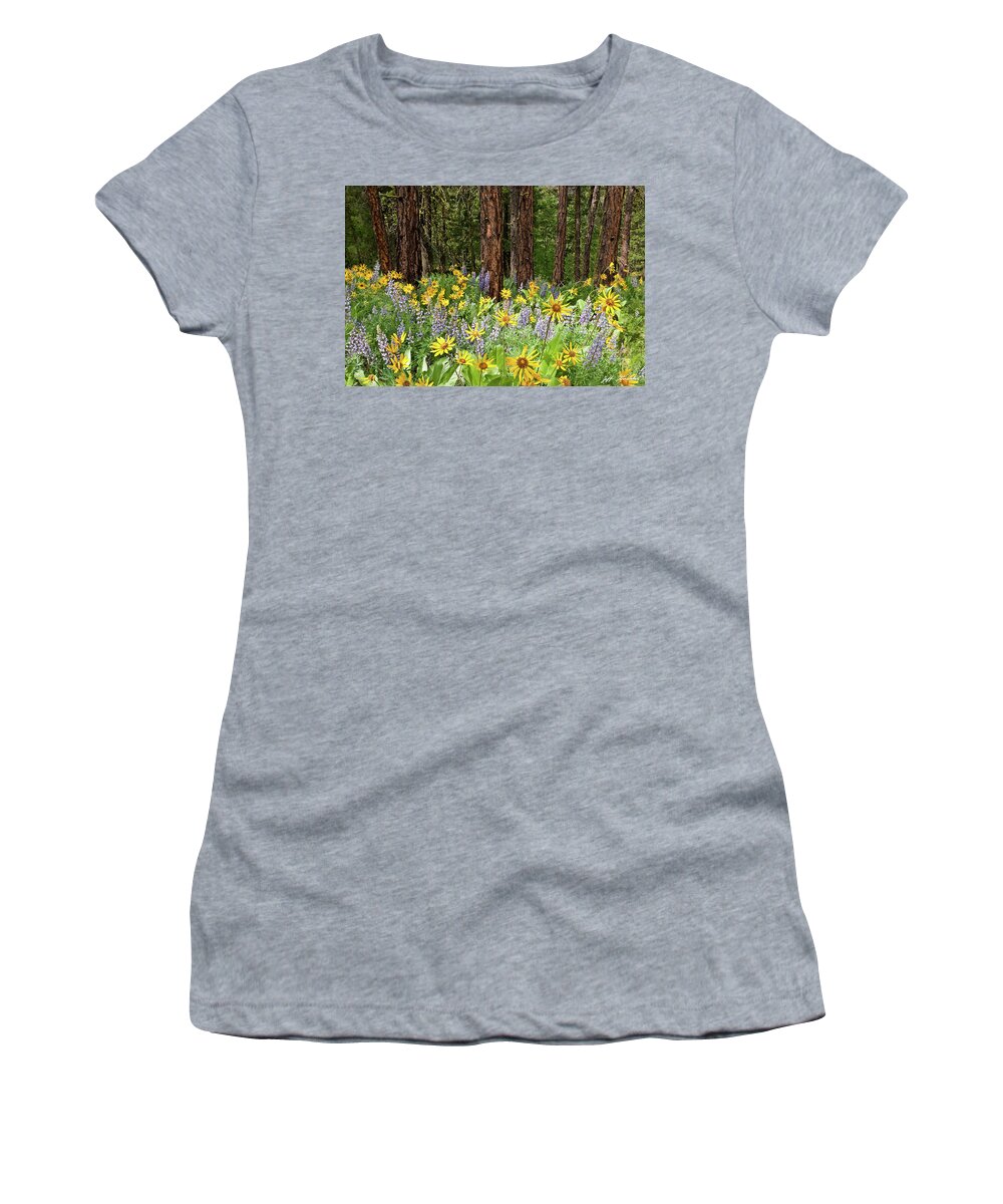 Arrowleaf Balsamroot Women's T-Shirt featuring the photograph Balsamroot and Lupine in a Ponderosa Pine Forest by Jeff Goulden