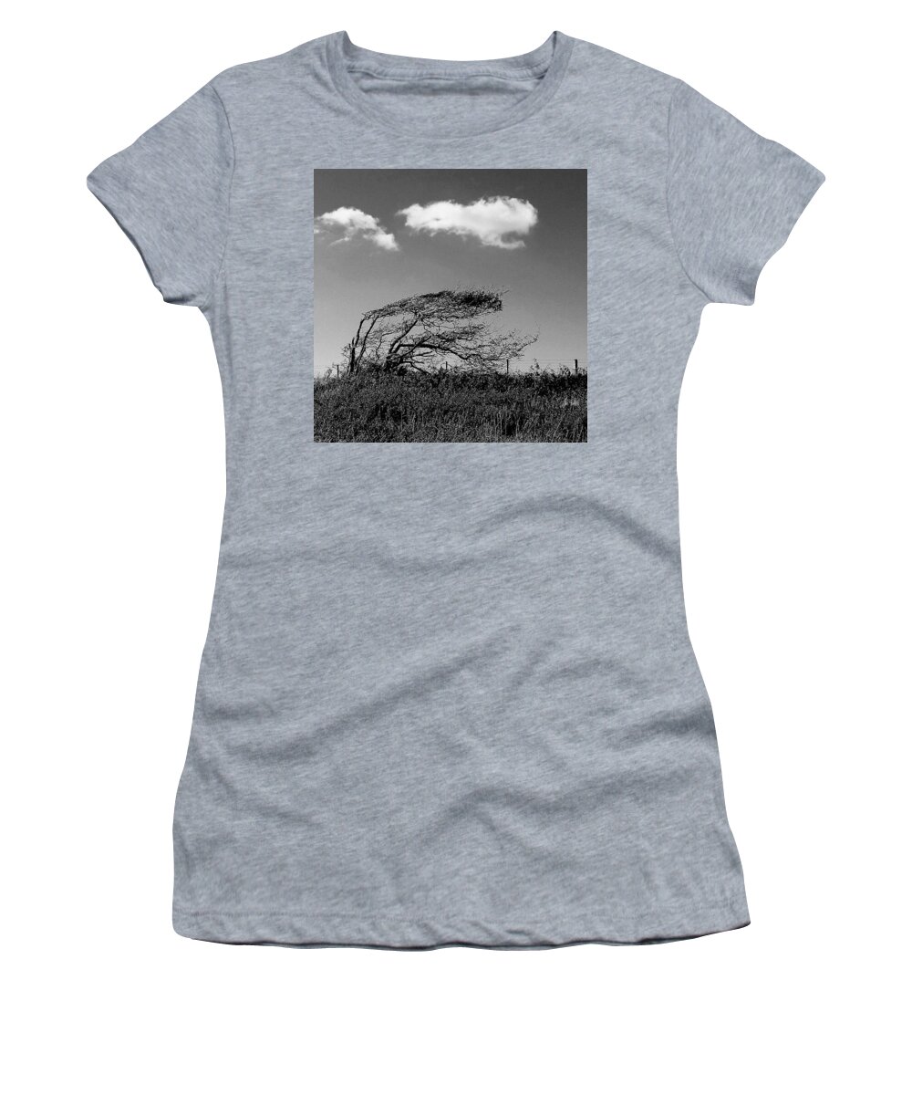  Women's T-Shirt featuring the digital art Windswept by Julian Perry