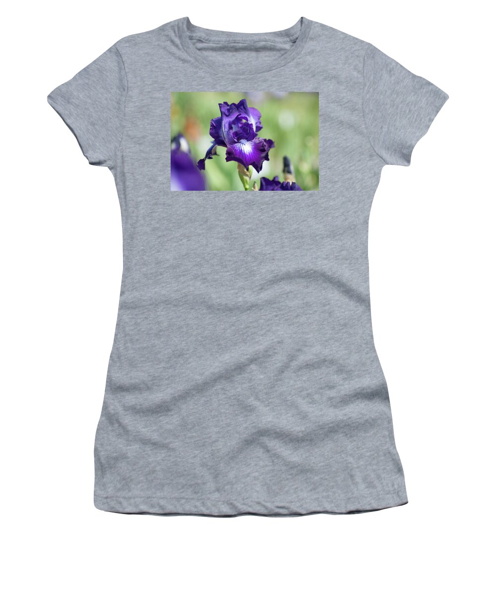 Iridaceae Women's T-Shirt featuring the photograph Winners Circle 1. The Beauty of Irises by Jenny Rainbow