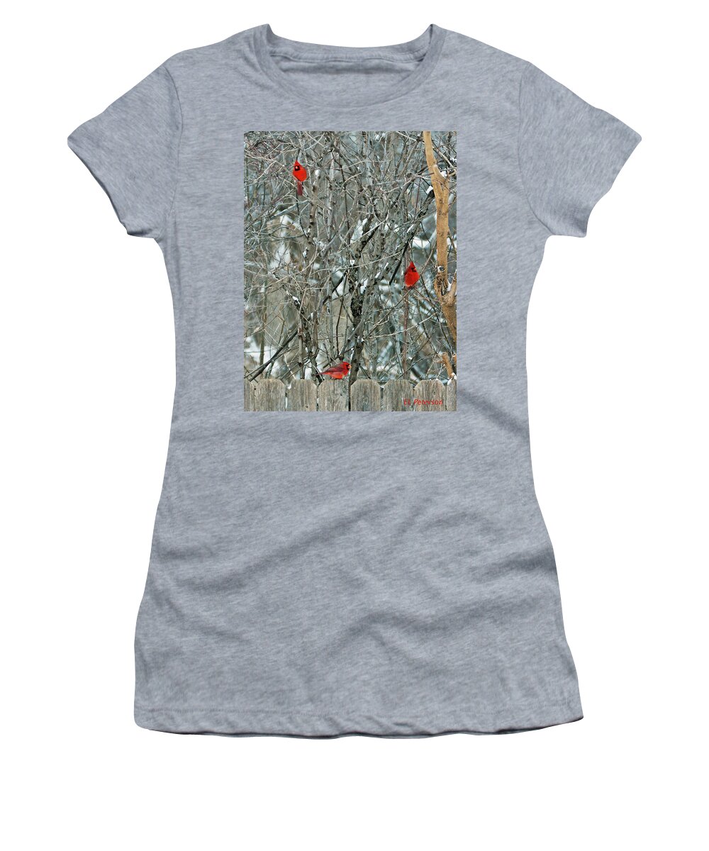 Northern Cardinal Women's T-Shirt featuring the photograph Winter Cardinals by Ed Peterson