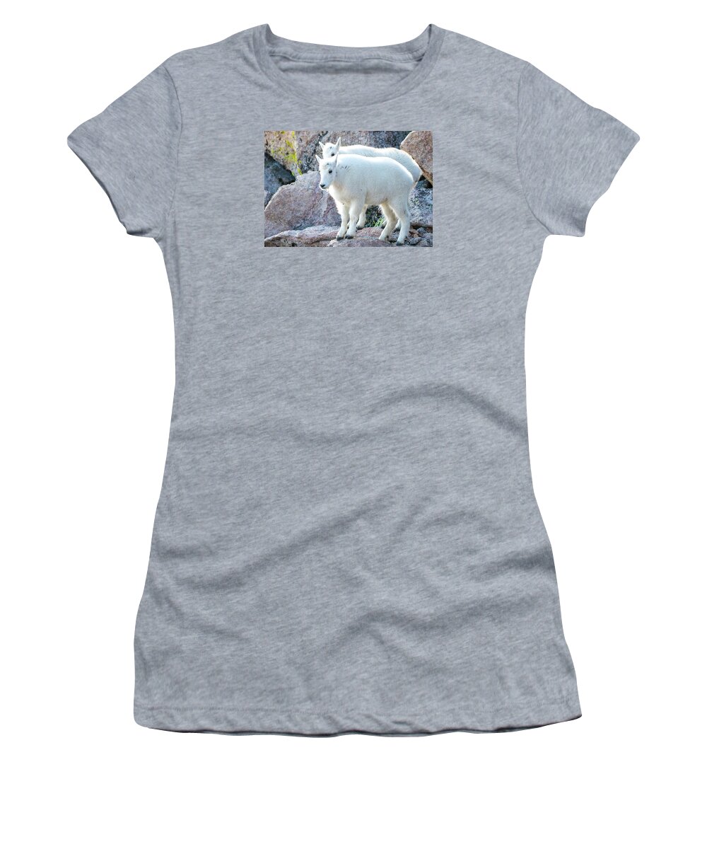 Mountain Goats Women's T-Shirt featuring the photograph Winter Coats #1 by Mindy Musick King