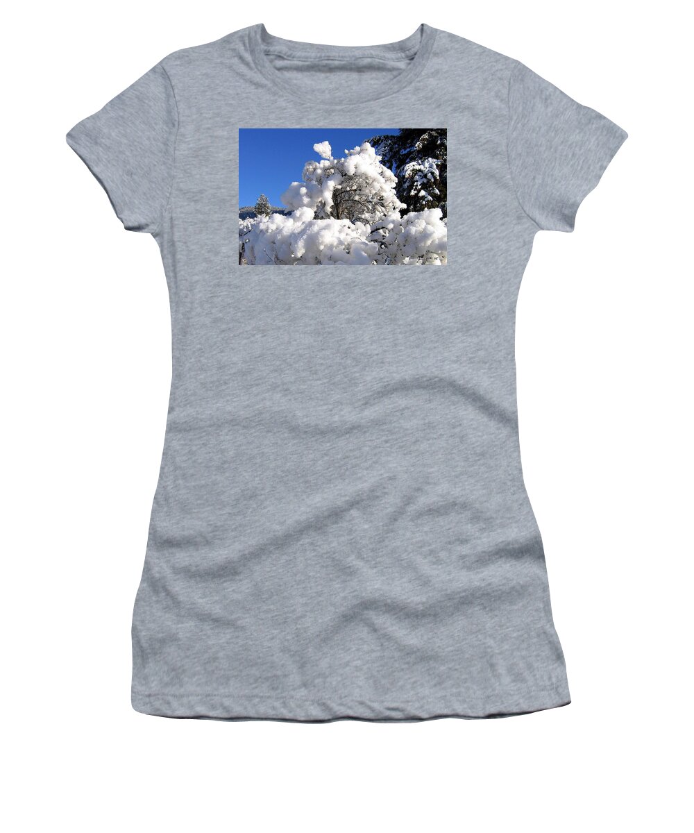 Winter Women's T-Shirt featuring the photograph Winter Cotton by Will Borden