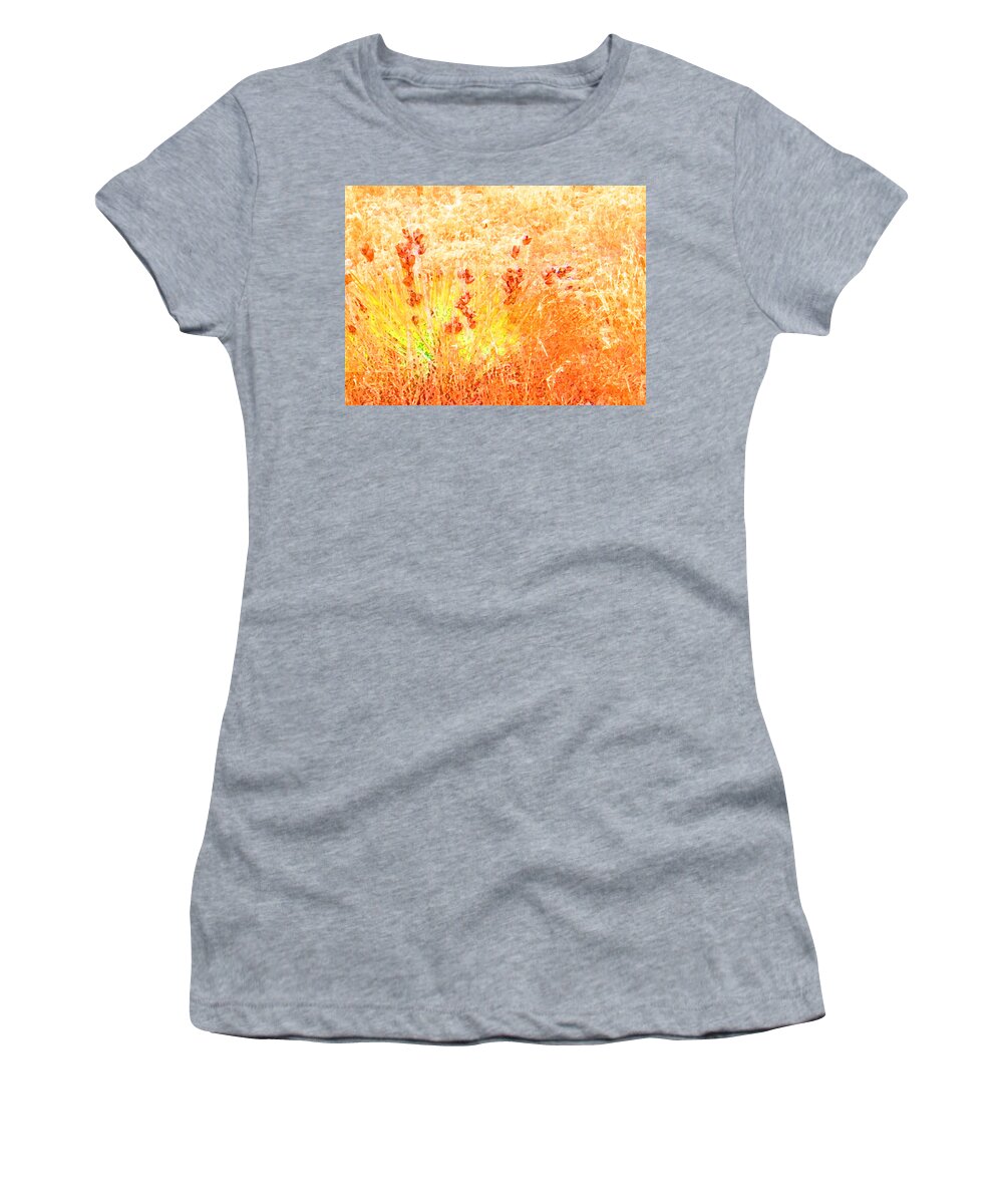 Abstract Women's T-Shirt featuring the photograph Winter Grasses by Lenore Senior