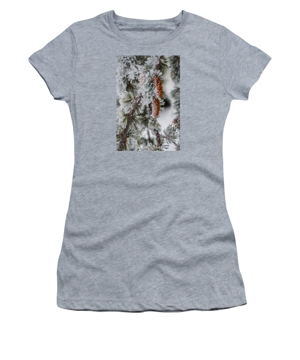 Architectural Photographer Women's T-Shirt featuring the photograph Winter Pine Cones by Lou Novick