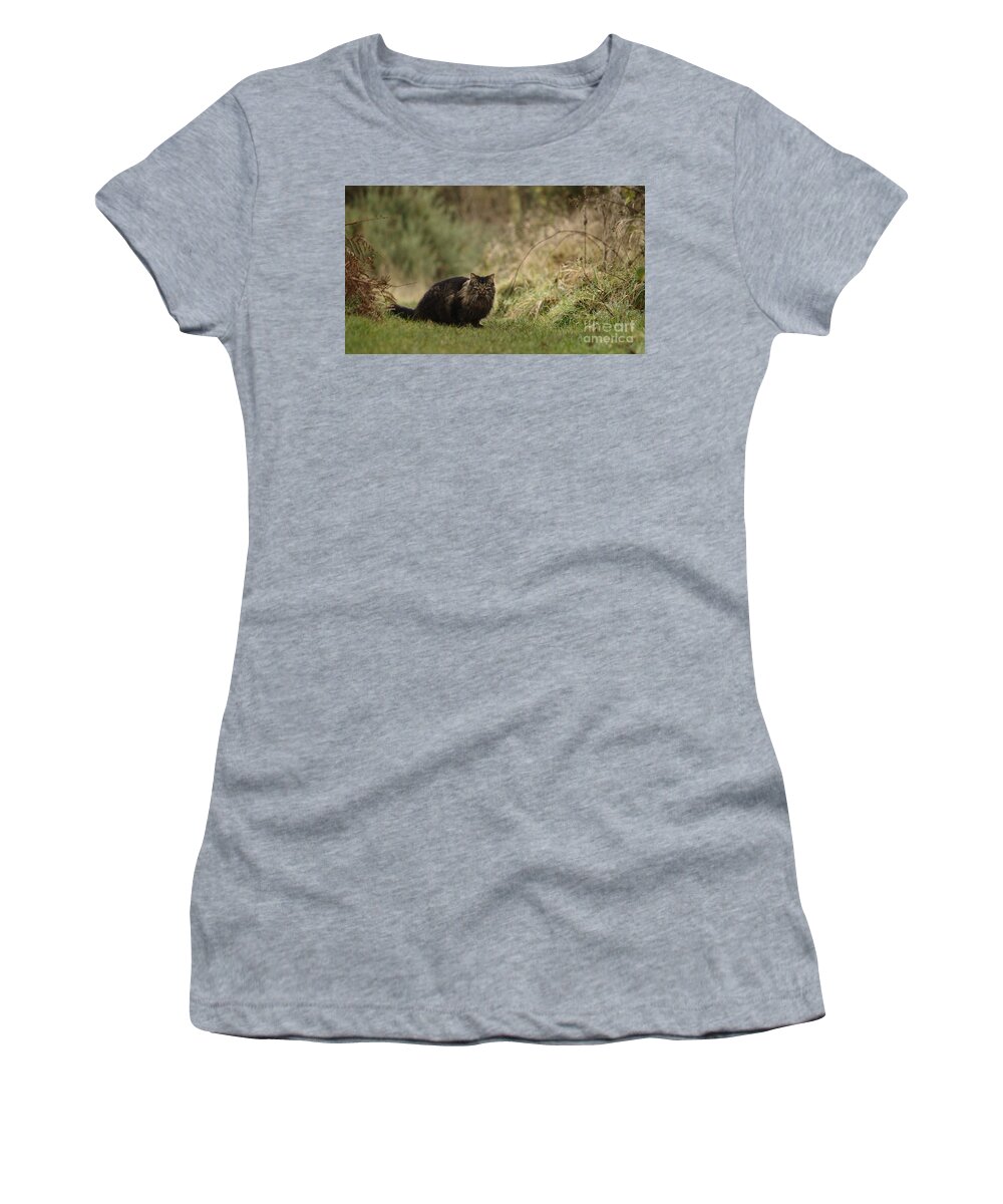 Cat Women's T-Shirt featuring the photograph Winter Prowl by Adrian Wale