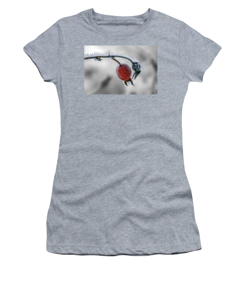 Rose Hip Women's T-Shirt featuring the photograph Winter Rose Hip by Inge Riis McDonald