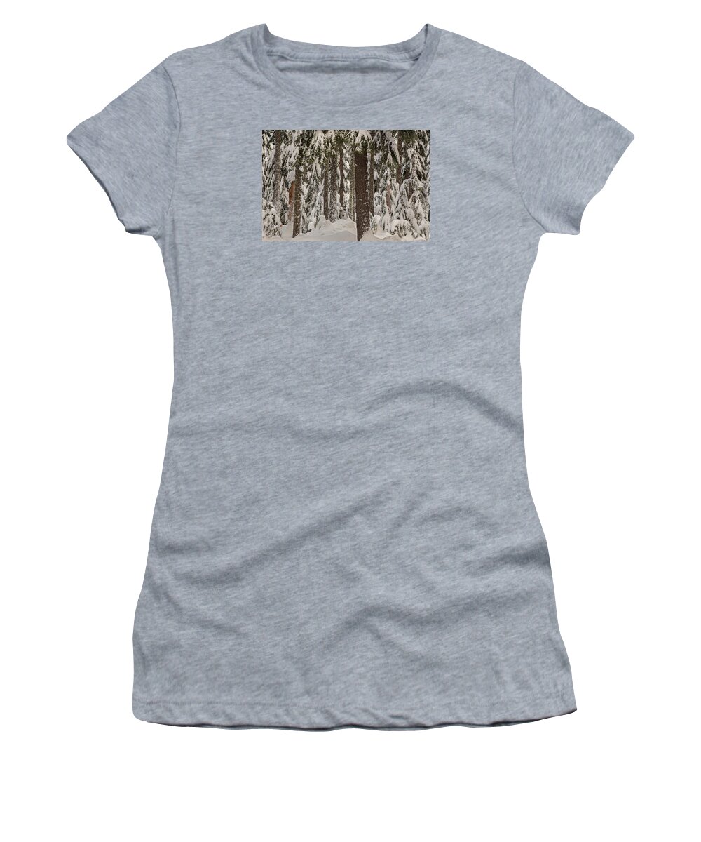 Pocket Creek Women's T-Shirt featuring the photograph Wintry forest by Kunal Mehra