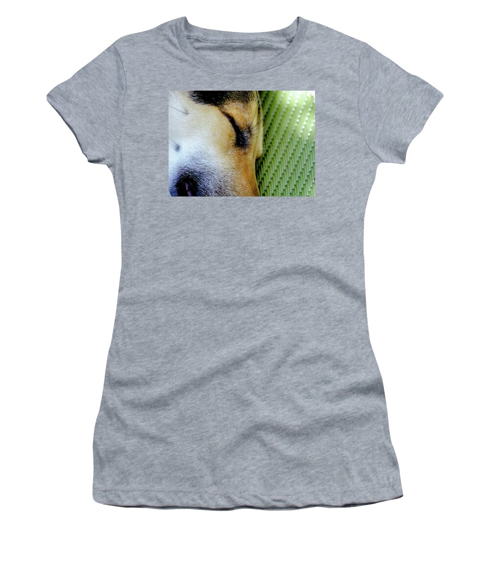 Dog Women's T-Shirt featuring the photograph Wiskers Fur-n-Plastic by Tim Dussault