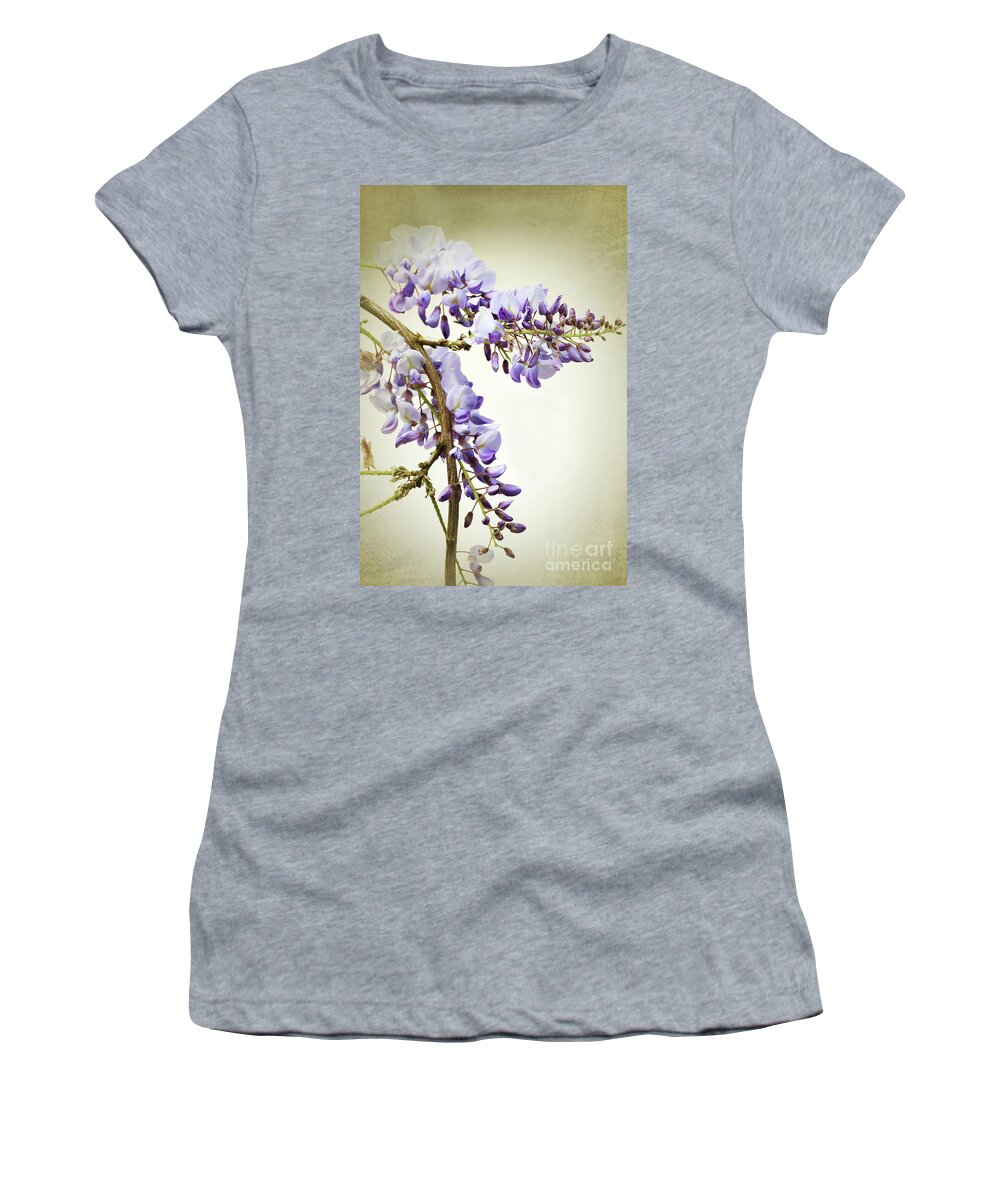 Wisteria Women's T-Shirt featuring the photograph Wisteria textured by Terri Waters