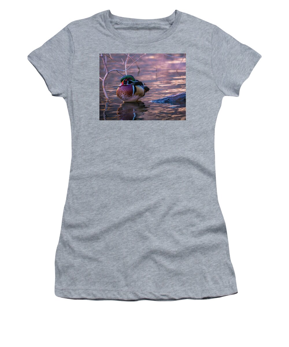 Wood Duck Women's T-Shirt featuring the photograph Wood Duck Resting by Bryan Carter