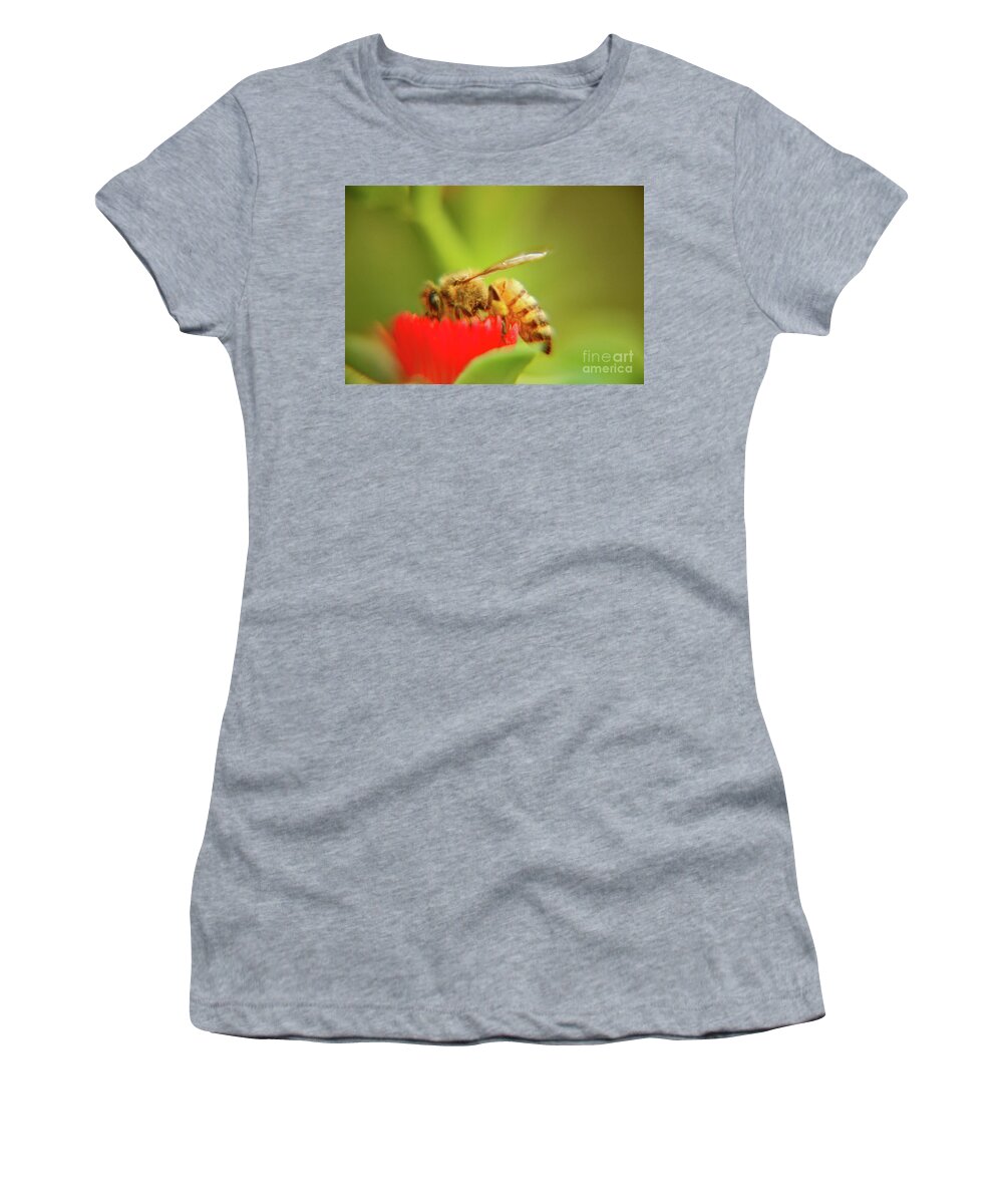 Macro Women's T-Shirt featuring the photograph Worker bee by Micah May