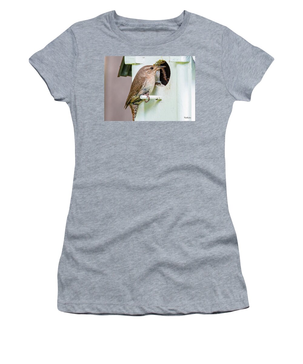 Baby Birds Women's T-Shirt featuring the photograph Wren Bringing Home the bacon by Tim Kathka