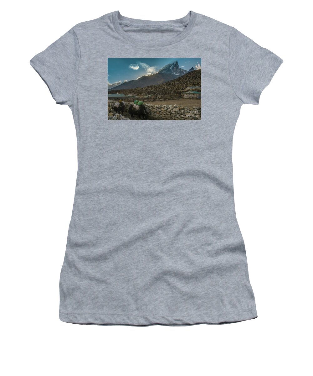 Everest Women's T-Shirt featuring the photograph Yaks Moving Through Dingboche by Mike Reid