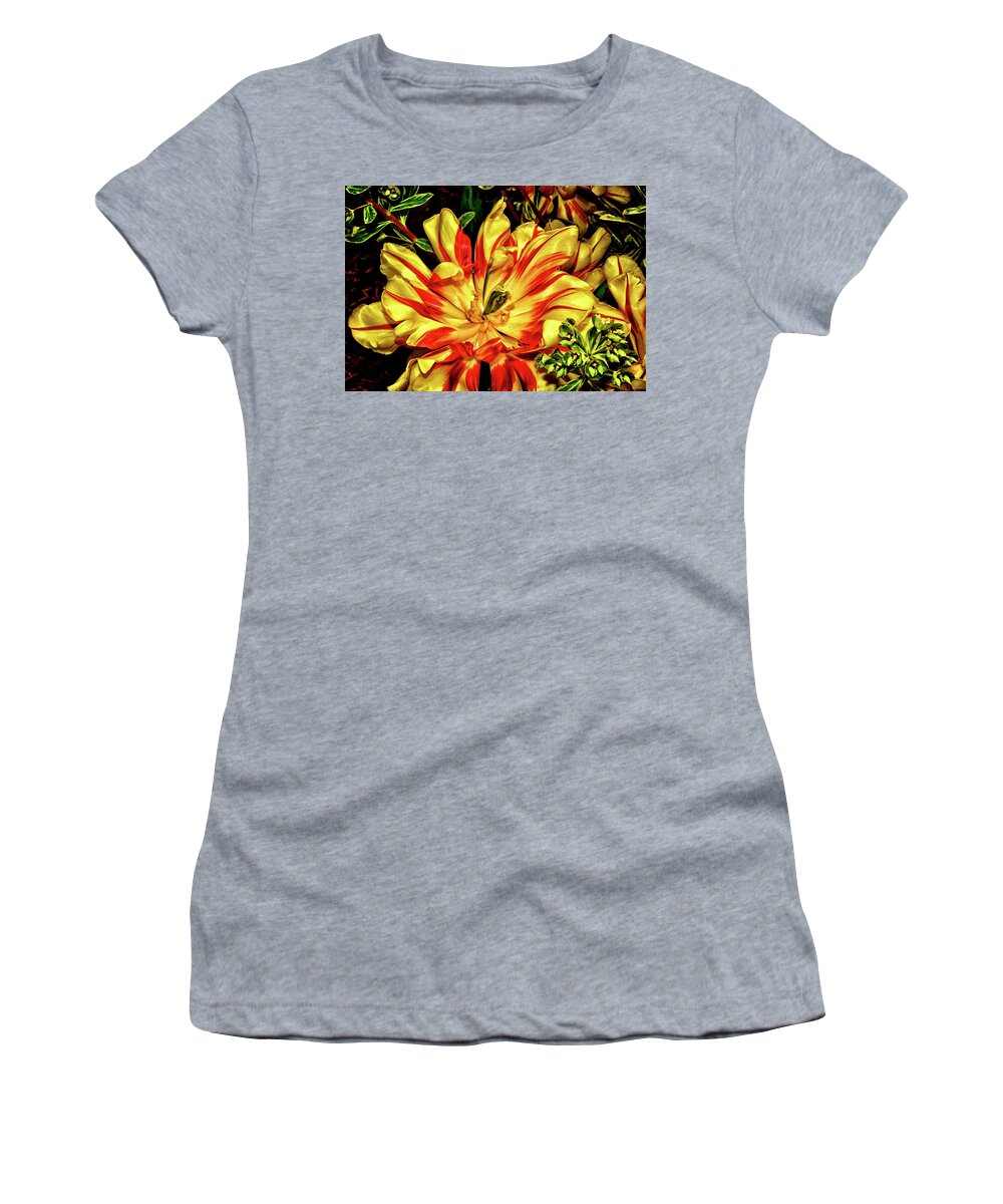Tulip Women's T-Shirt featuring the photograph Yellow And Red Tulip 003 by George Bostian