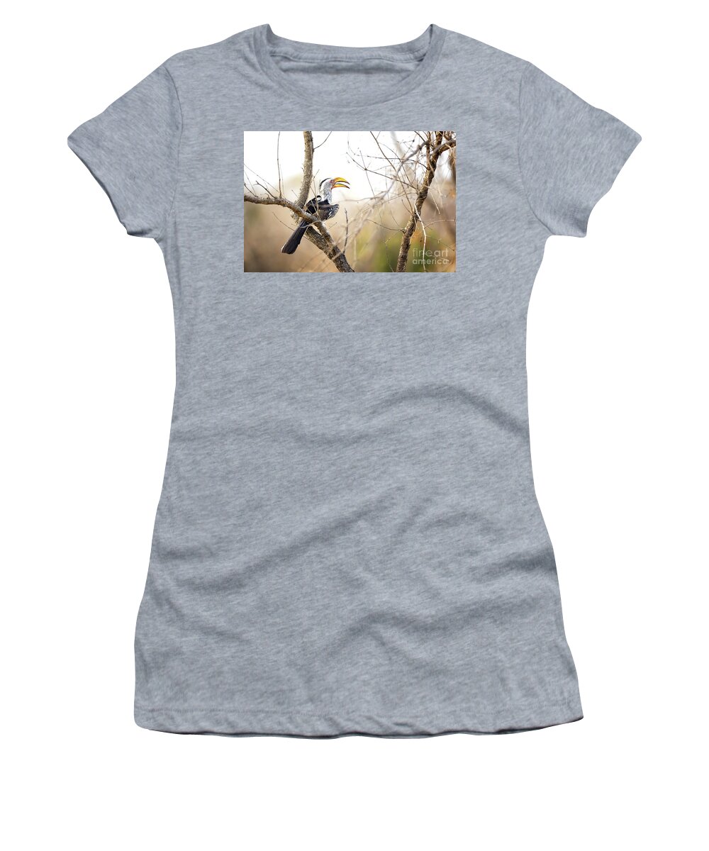 Hornbill Women's T-Shirt featuring the photograph Yellow-billed hornbill sitting in a tree. by Jane Rix