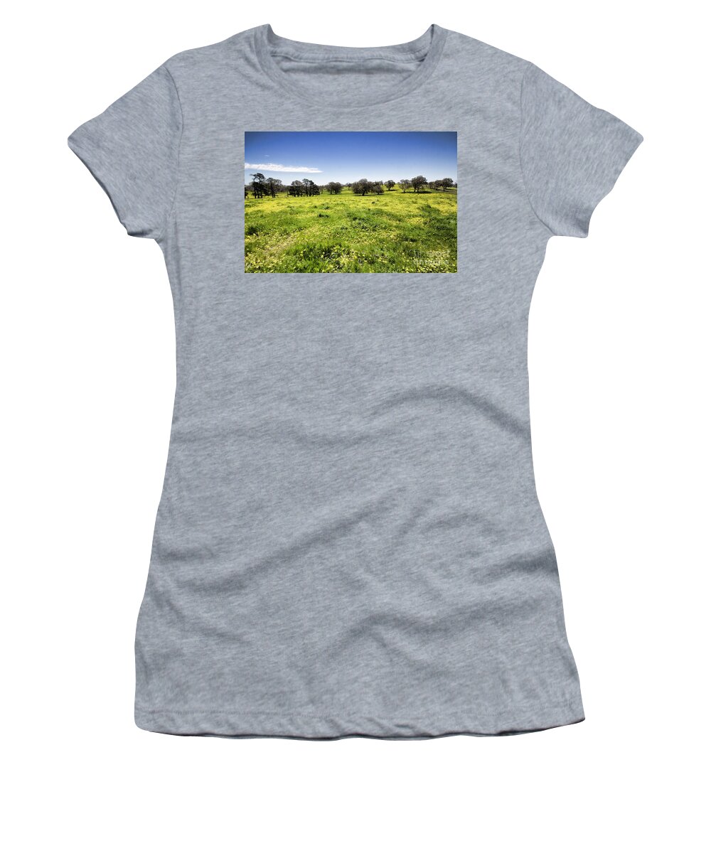 Trees Women's T-Shirt featuring the photograph Yellow Blanket by Douglas Barnard