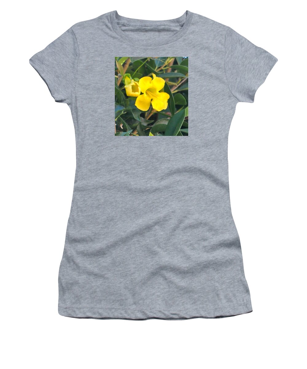 Garden Women's T-Shirt featuring the photograph Yellow Cat's Paw Vine by Jay Milo