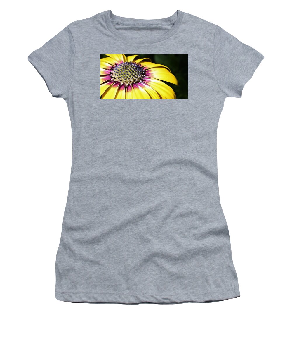 Flora Women's T-Shirt featuring the photograph Yellow Daisy Macro by Bruce Bley