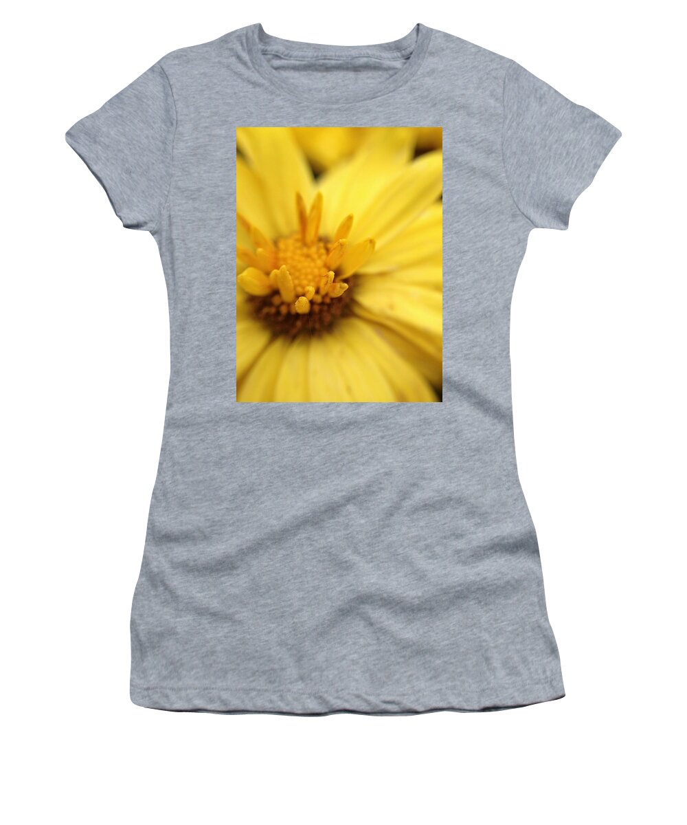 Scoobydrew81 Andrew Rhine Macro Bloom Blooms Flower Flowers Yellow Color Petals Close-up Nature Art Botanical Botany Plant Floral Small View Women's T-Shirt featuring the photograph Yellow flower Macro 1 by Andrew Rhine