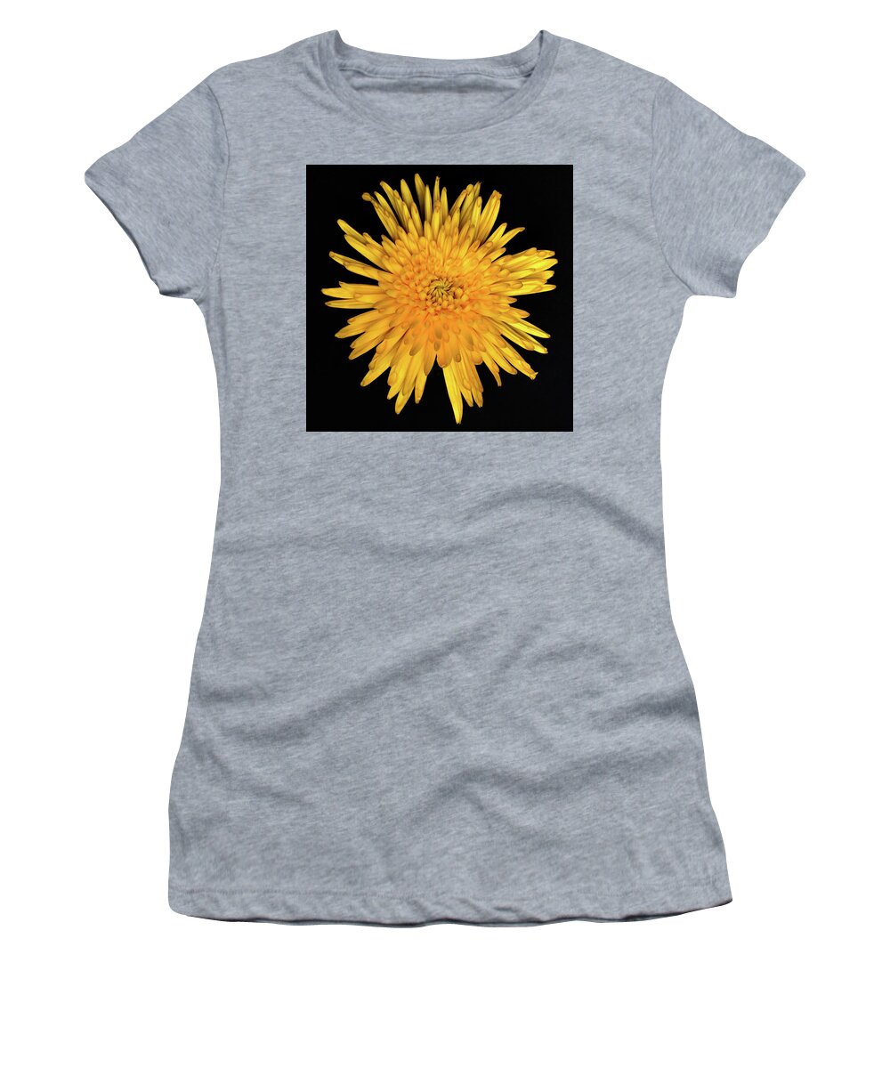 Macro Women's T-Shirt featuring the photograph Yellow Flower Macro by Allin Sorenson