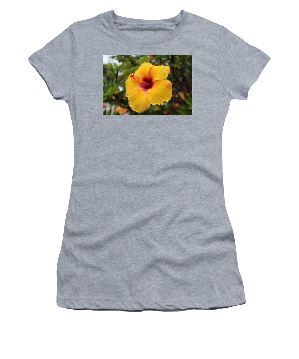 Hibiscus Women's T-Shirt featuring the photograph Yellow Hibiscus by Brian Eberly