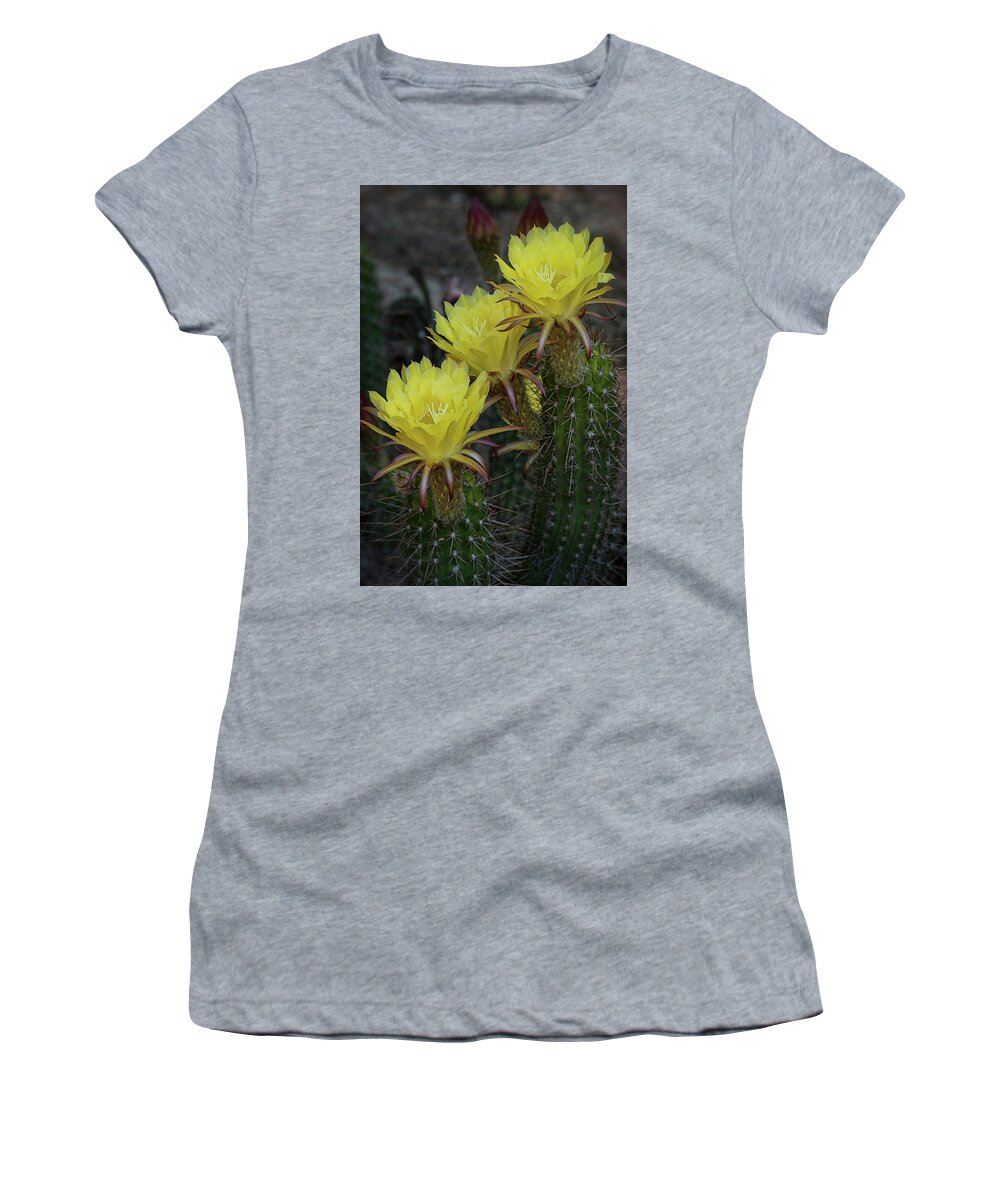 Yellow Torch Cactus Women's T-Shirt featuring the photograph Yellow Torch Cactus Bouquet by Saija Lehtonen