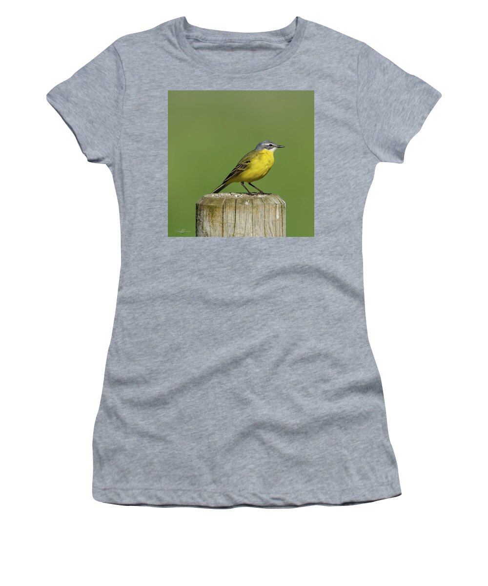 Yellow Wagtail Women's T-Shirt featuring the photograph Yellow Wagtail perching on the roundpole a close-up by Torbjorn Swenelius