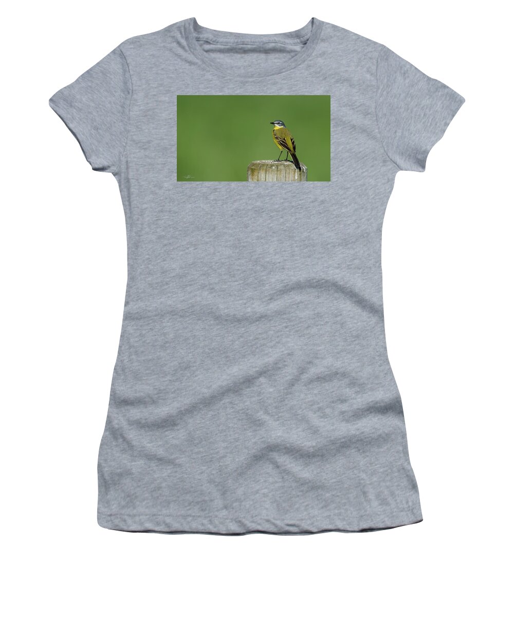 Yellow Wagtail Women's T-Shirt featuring the photograph Yellow Wagtail perching on the roundpole by Torbjorn Swenelius