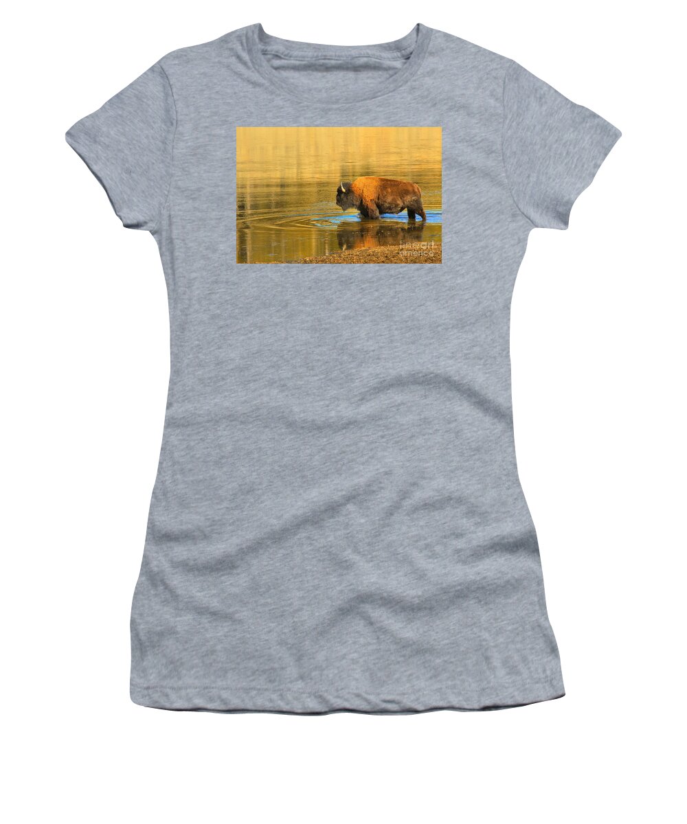 Bison Women's T-Shirt featuring the photograph Yellowstone Solo Swimmer by Adam Jewell