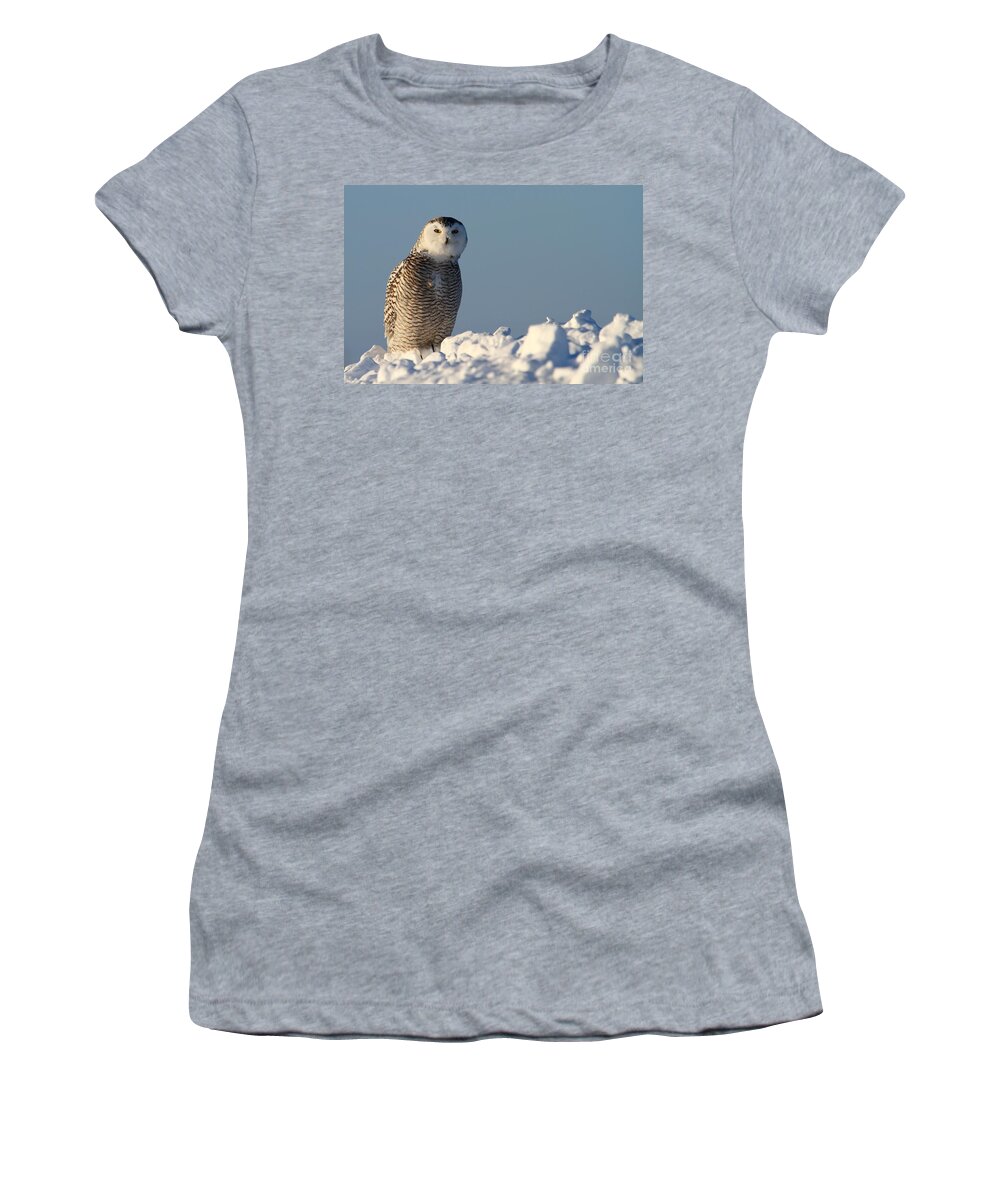 Snowy Owls Women's T-Shirt featuring the photograph You are my focus by Heather King