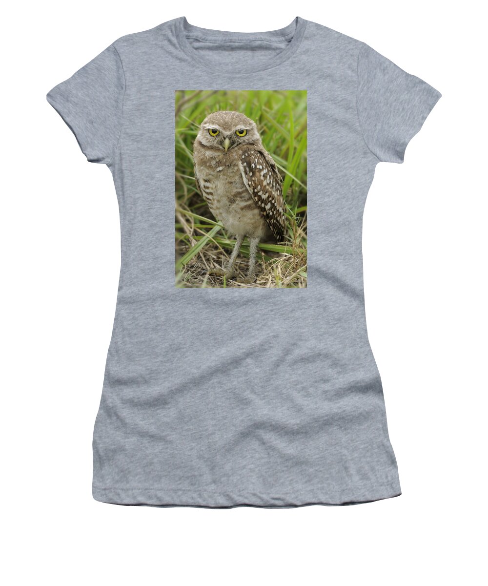 Owl Women's T-Shirt featuring the photograph Young Burrowing Owl by Bradford Martin