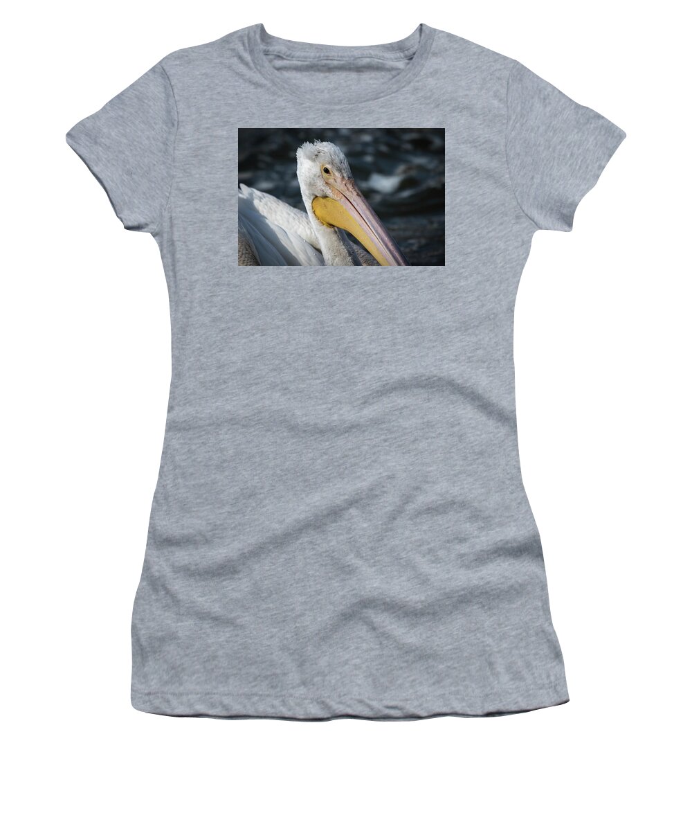 American White Pelican Women's T-Shirt featuring the photograph Young Pelican 2016-4 by Thomas Young