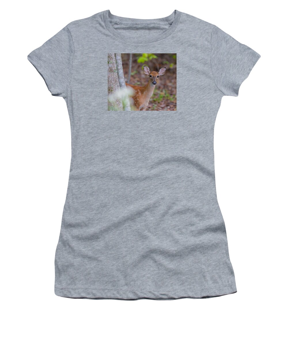 Fawn Women's T-Shirt featuring the photograph Young White Tailed Deer by Melinda Fawver
