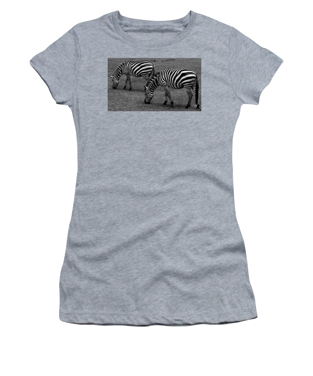 Dade City Women's T-Shirt featuring the photograph Zebras Grazing by Julie Pappas