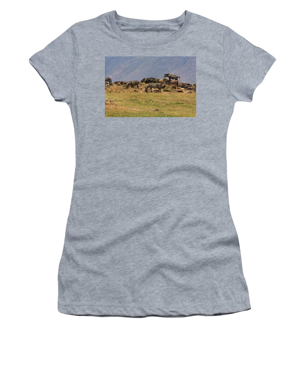 Zebra Women's T-Shirt featuring the photograph Zebras In The Ngorongoro Crater, Tanzania by Aidan Moran
