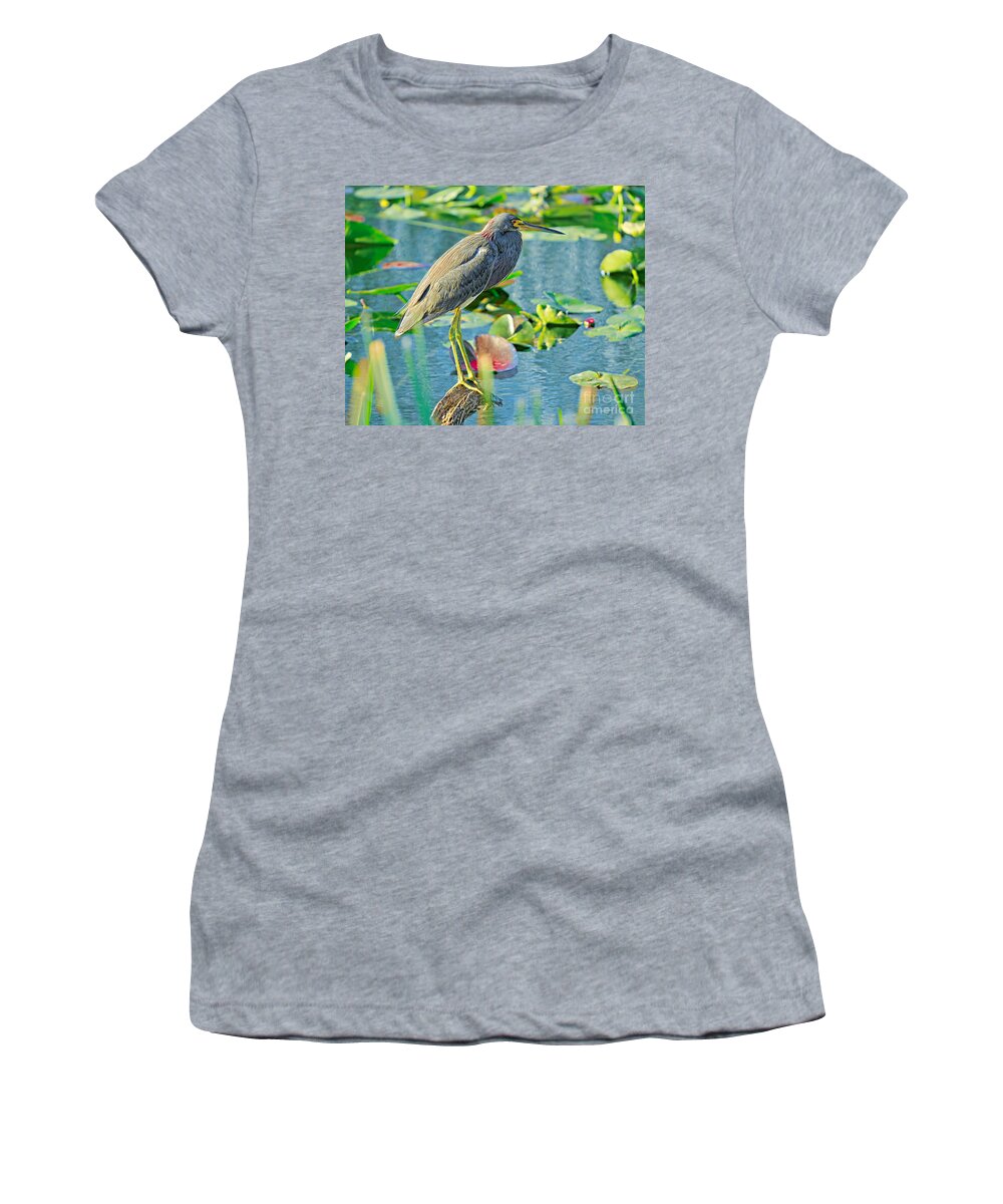 Birds Women's T-Shirt featuring the photograph In Balance #2 by Judy Kay