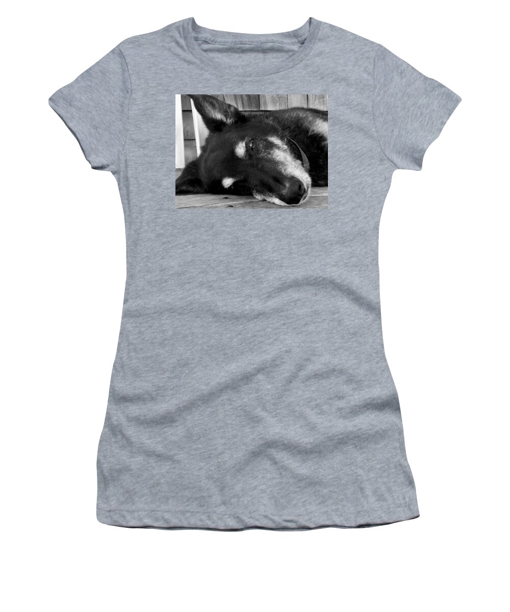 Lobster Dock Women's T-Shirt featuring the photograph Lobstah Dock Dawg Nap #1 by Debra Grace Addison