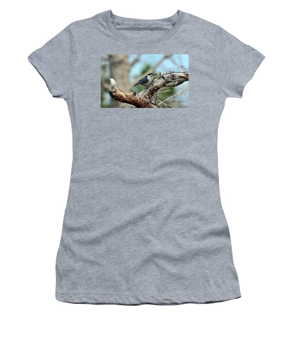 Birds Women's T-Shirt featuring the photograph Nuthatch #1 by Dorrene BrownButterfield