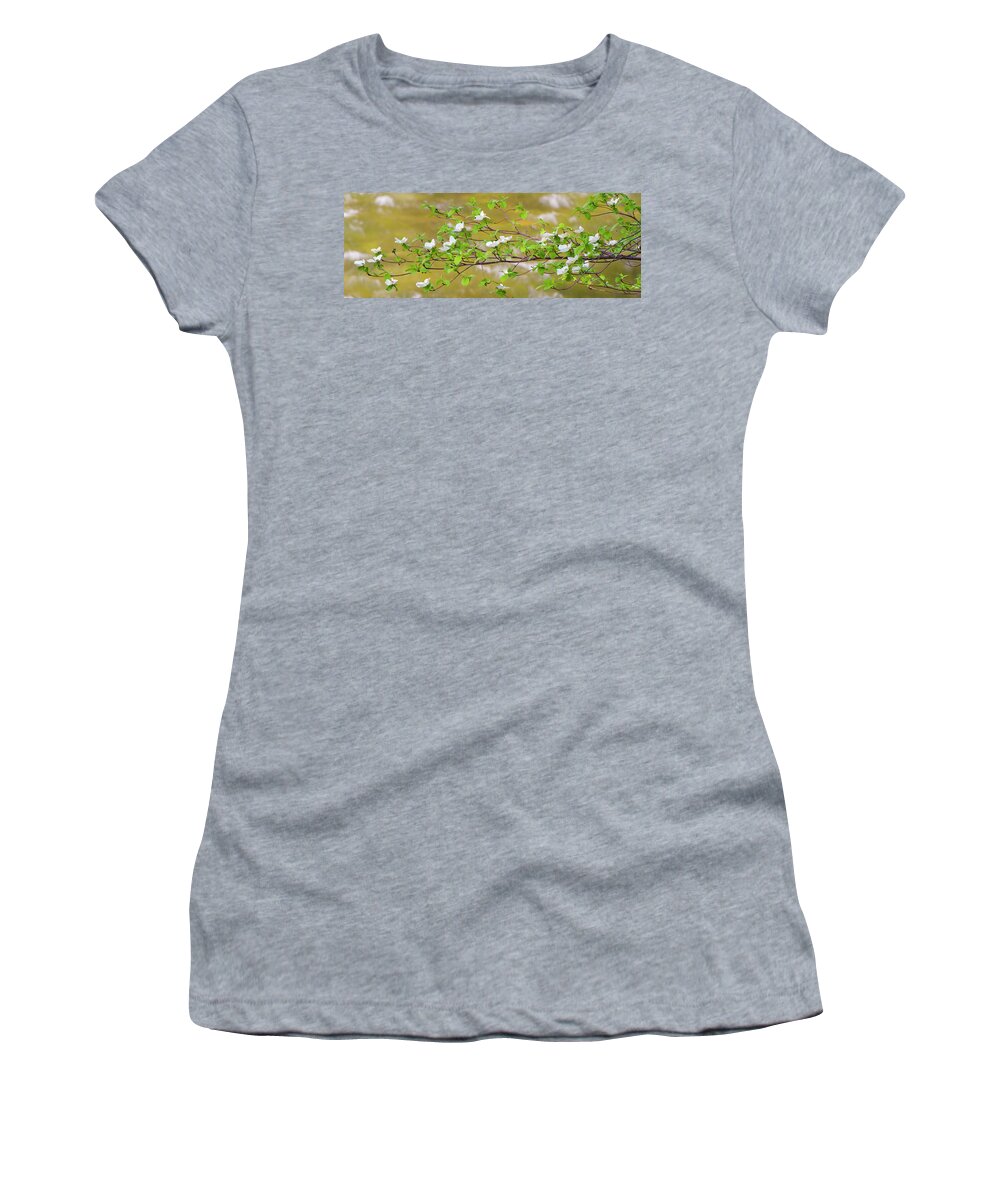 Photography Women's T-Shirt featuring the photograph Pacific Dogwood Cornus Nuttallii #1 by Panoramic Images