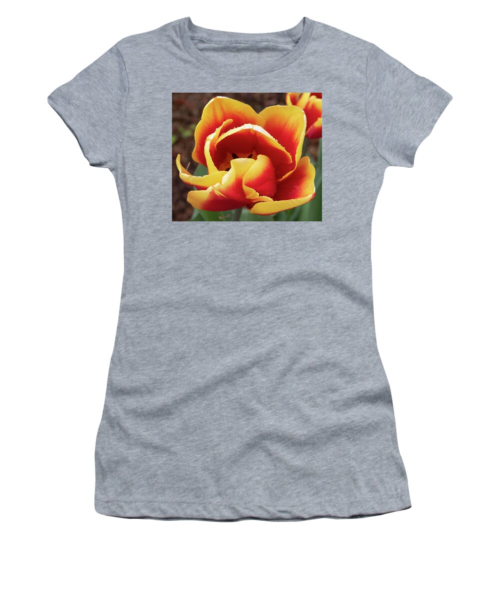 Flower Women's T-Shirt featuring the photograph Red and Yellow #1 by Masami IIDA