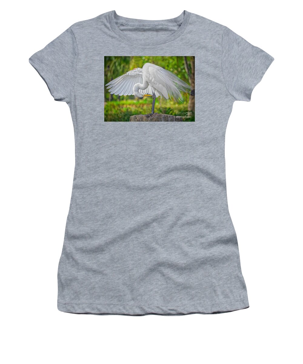 Coastal Birds Women's T-Shirt featuring the photograph Spreading Out by Judy Kay