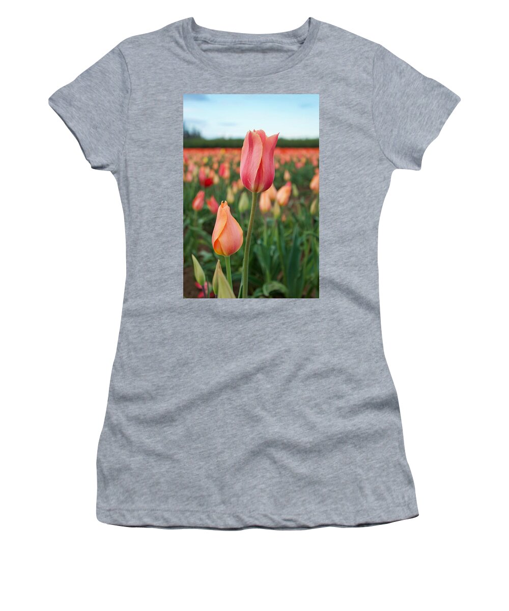 Tulip Women's T-Shirt featuring the photograph Standing Tall #1 by Brian Eberly