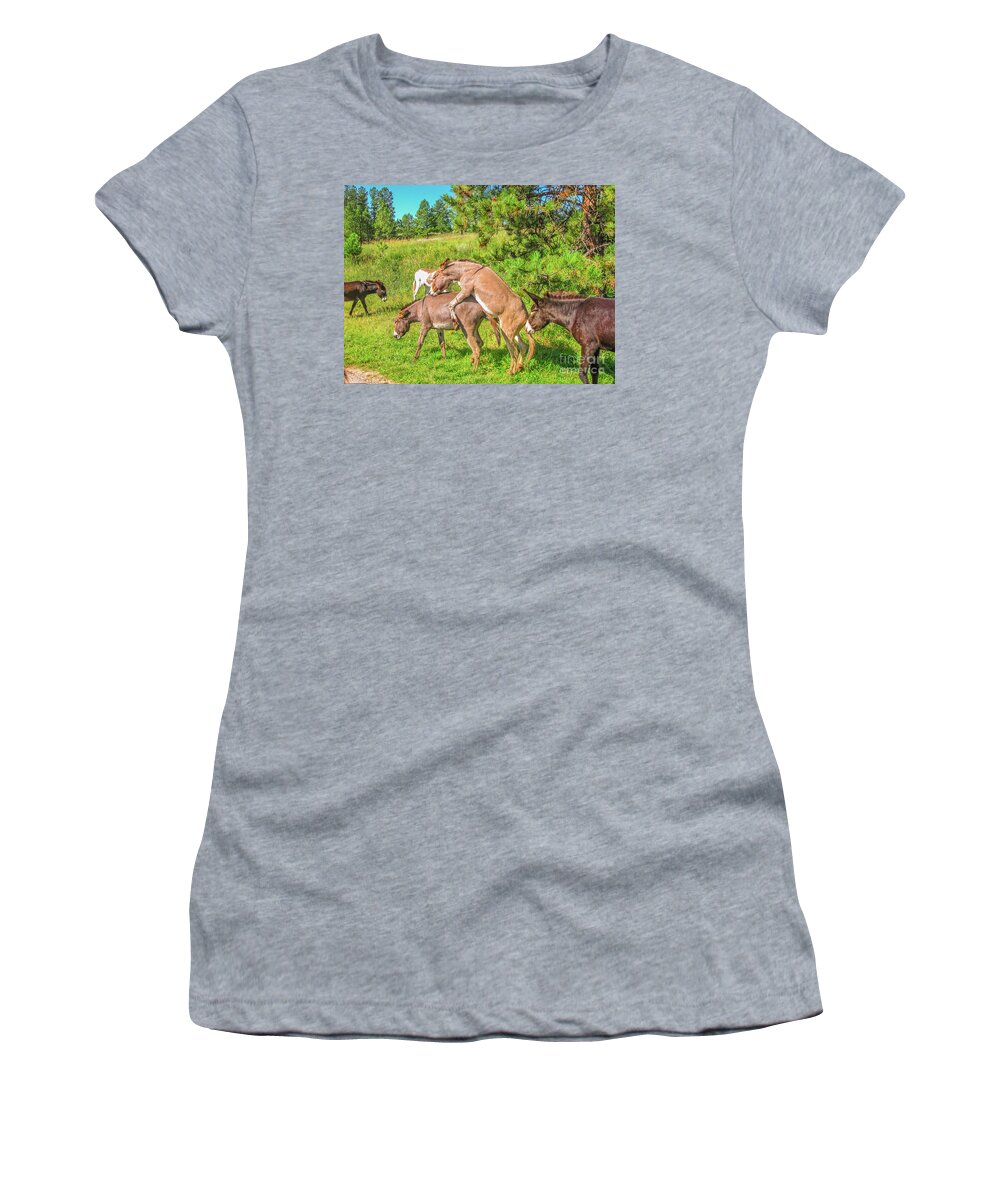 Donkeys Mating Women's T-Shirt featuring the photograph Wild Donkeys mating #1 by Benny Marty