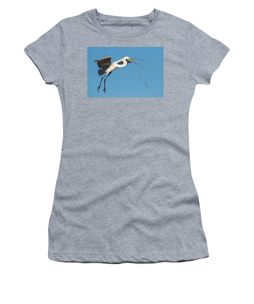 American Fauna Women's T-Shirt featuring the photograph Great Egret With Stick #2 by Ivan Kuzmin