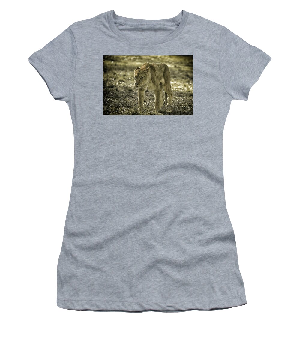 Lioness Women's T-Shirt featuring the photograph Lioness #2 by Chris Boulton